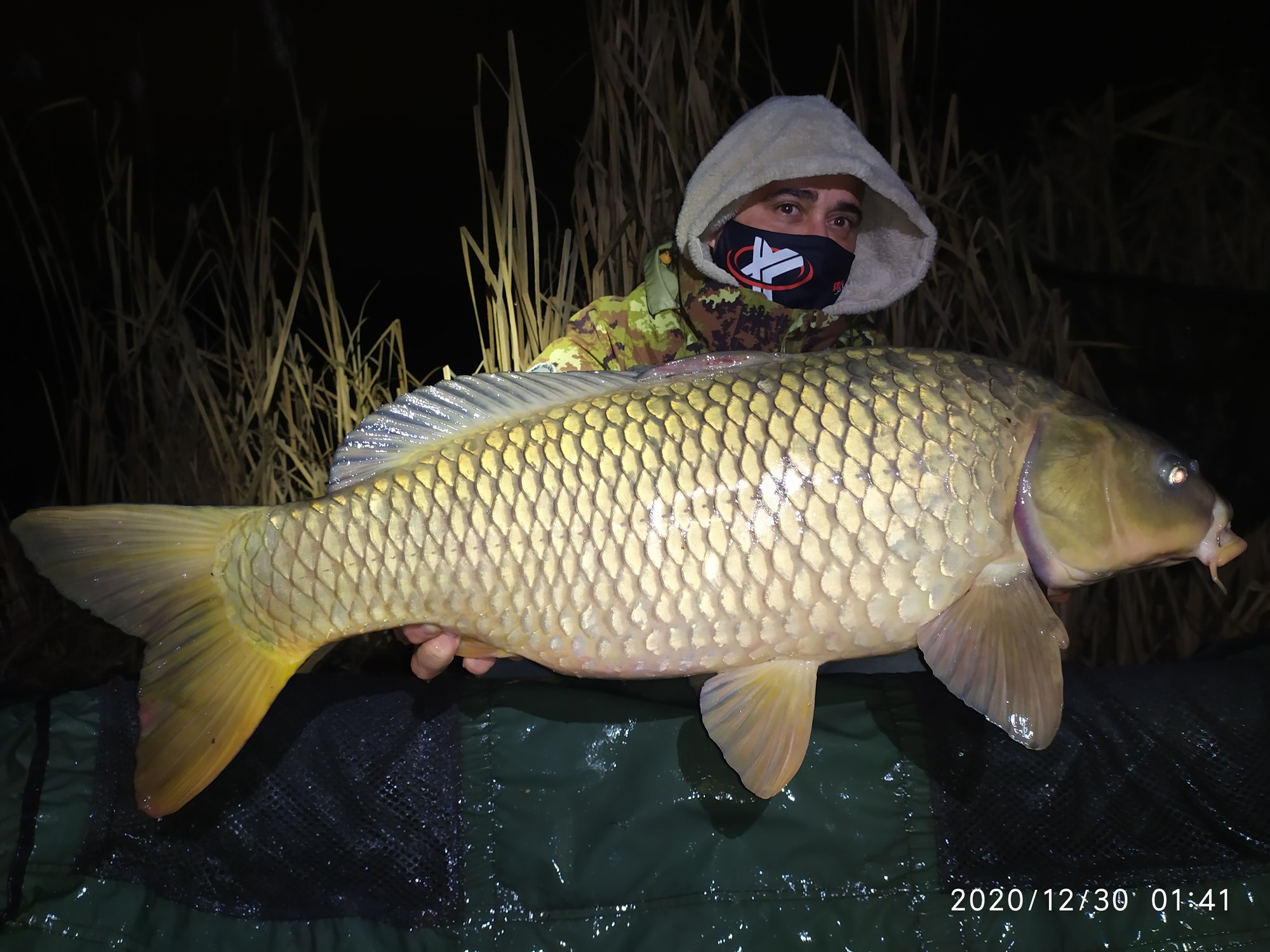 ISOLA DEL PESCATORE 29 - 30 decembrie 2020 - IMG20201230014144.jpg